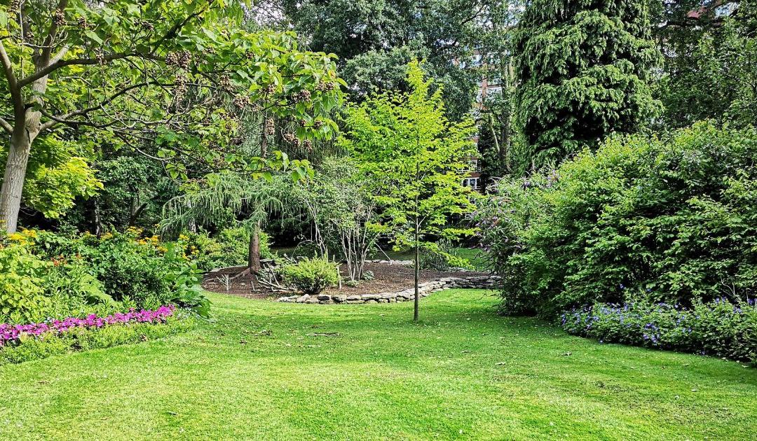 Je gazon herstellen? Zo breng je je tuin weer tot leven!
